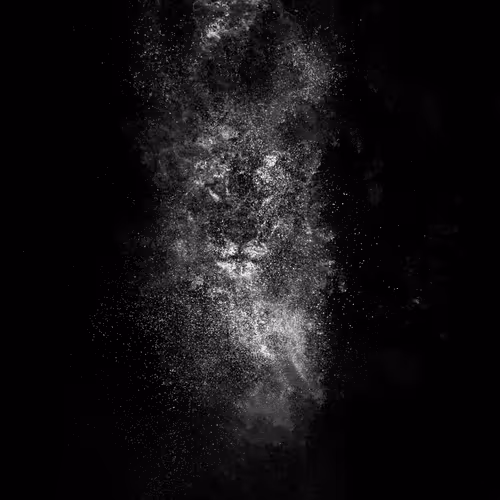 97390858549290517915673057044451120522321858296040786888435299425413561843714