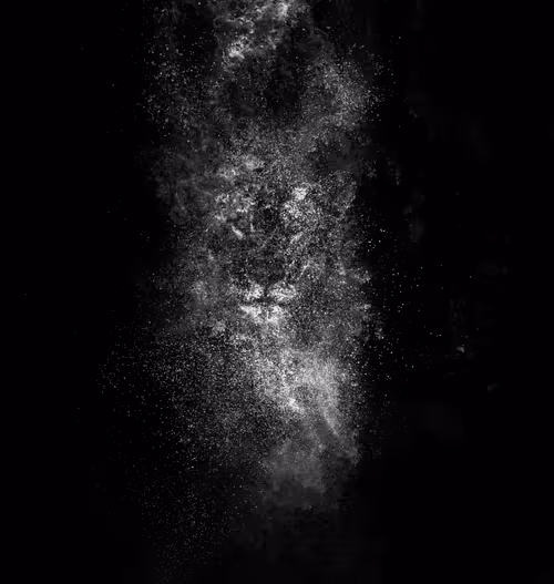 Item #97390858549290517915673057044451120522321858296040786888435299425413561843714 Media