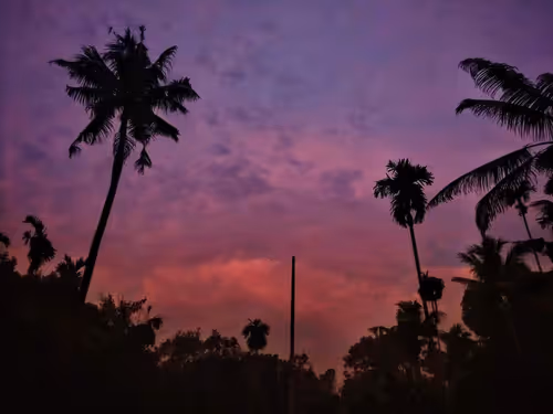 Item #96373460507912281939903112807065392587728079623754575039603803275055132049409 Media