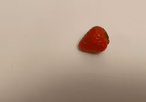 Item #69415303266762783838091346554203331785262091122040620382605275330993947934721 Media