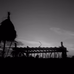 the silhouette