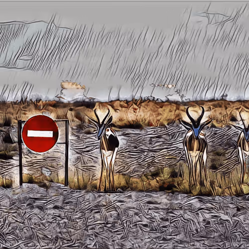 Item #24473209154447979220678348830340627404068712113787429026229454979321972129793 Media