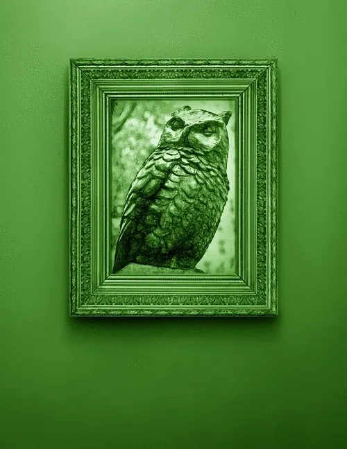 Item #51823728985939034062886243384892974104749538993457925112096062488822163701860 Media