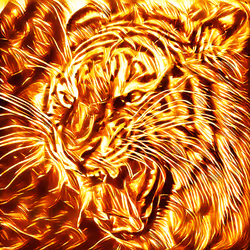 52425573336092519837726043644508007242056972111982820683155420198697936355329