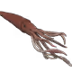 102102863880475770457698224989988084767241854502125357247999464306854066126853