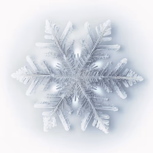 Item #80295868564913723404284844980520130220596009118355329382896586514166102097921 Media