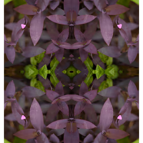 43460632666851788509926658809228942644506618275693919397643606303235509321729