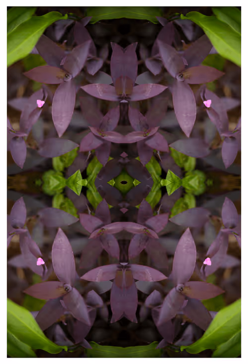 Item #43460632666851788509926658809228942644506618275693919397643606303235509321729 Media