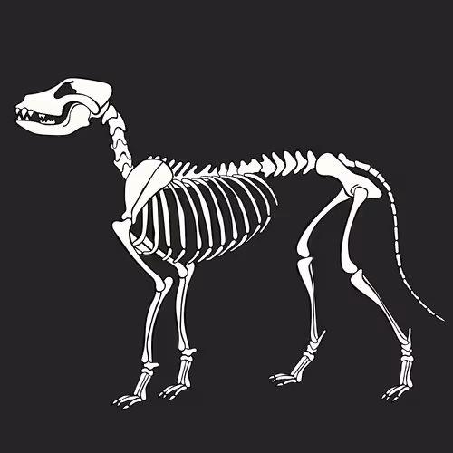 Item #66115251428437251400949335005857765940906863007353817121707627037436848111617 Media