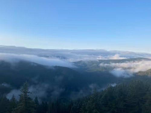 Item #2005862319158051831365229387864138466486092287762213337058068734022678216705 Media