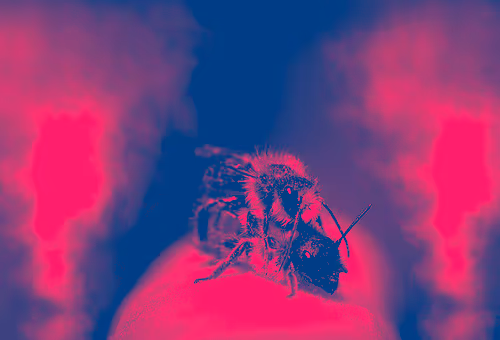 Untitled Collection #104474739