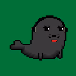 78172764965519271236128275620684069680728459946645540966256637214198178250753