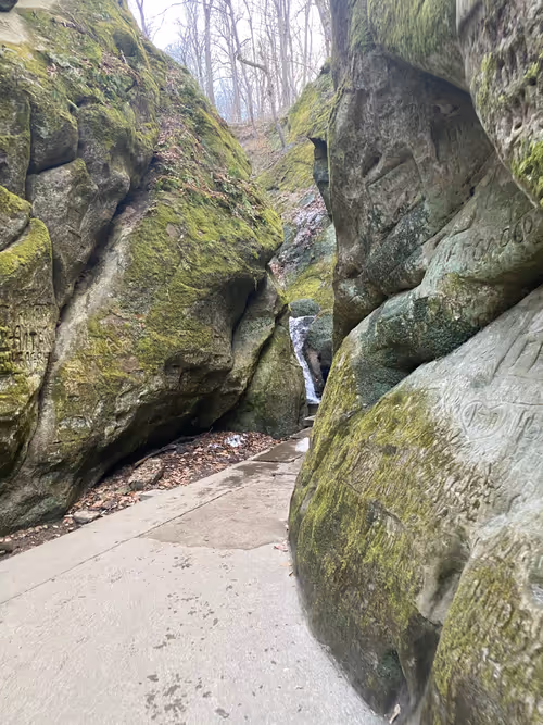 Item #112339910633504213728399095396539794001498957643170945361235603255903396036609 Media