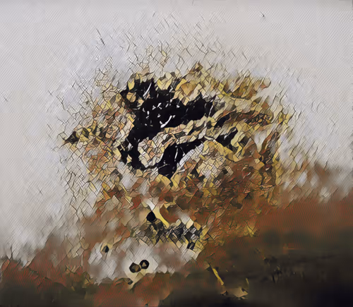 Item #16558374224031309544810590642259060897408029573872384606006677236533847654401 Media