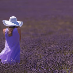 Violet