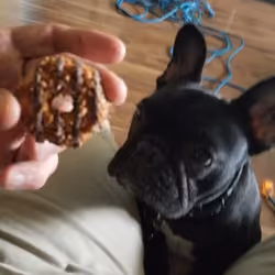 C'mon Dad Give It To Me! 