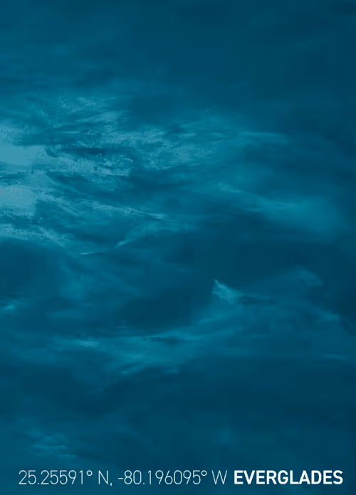 Item #26943238138681638753348092188697374887664825659826611314374211186418778112001 Media