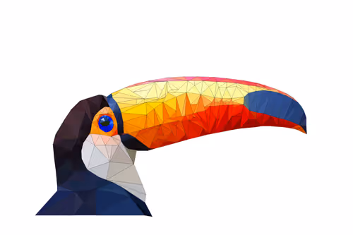 Toucan 