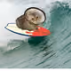 70726503922268428037548532046889285048638163058416930212662801316396614549505