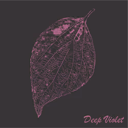 40167138637940562108431742001123872206105593199433866487640627821973650538497