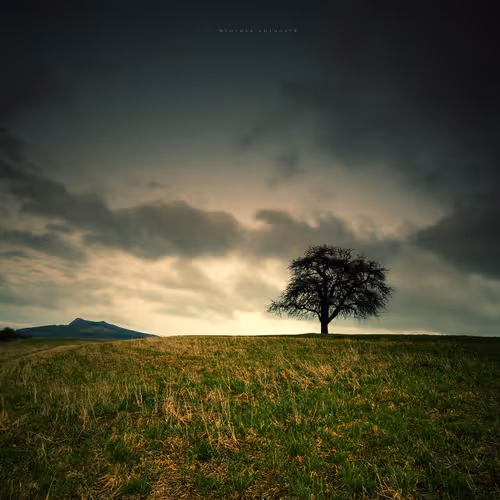 Item #113065873903366828743744079288708835697083018334279533284549130218540070076417 Media