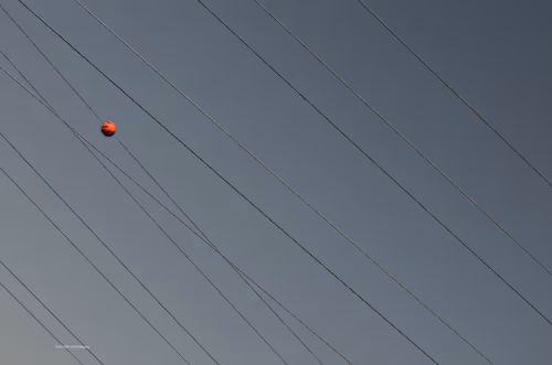 Item #88588118460762935851954819290277197949236789267554687293919040400139233525761 Media