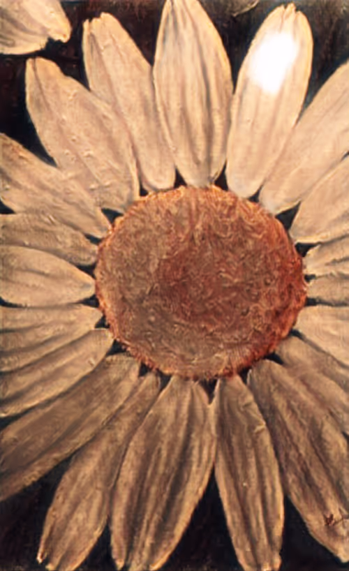 Item #20652599347766651817314997780074045281073956978484202770790908291685088755713 Media