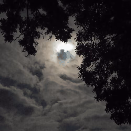 The Moon's Face