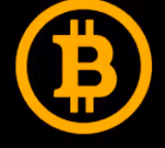 Untitled Collection #163561501