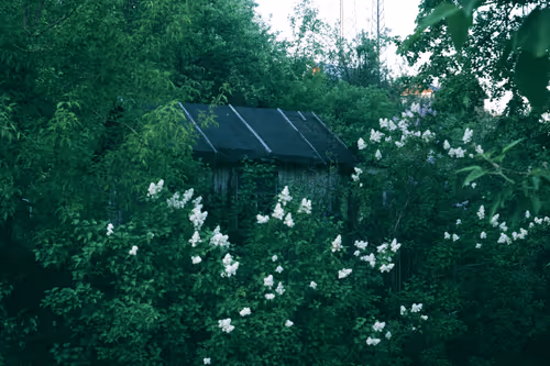 Item #34811634924862855090105769671786307071201187759740501250683185423258147094529 Media