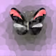 6686427839214590234131289160069446905760933524461535091817397497756110553089