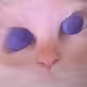 93546282532833615051294298850401134815184508154805668748503379160552473362447