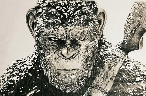 Item #48962084060186019940623196789396244510789399652711377126682244772613054267395 Media