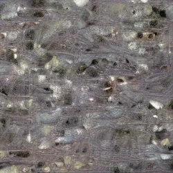 51505744279772251808310948570193708993242265706659681932624859559503622832129