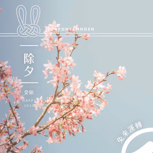 Untitled Collection #50259544