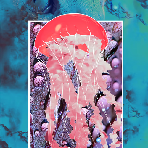 Untitled Collection #131079894