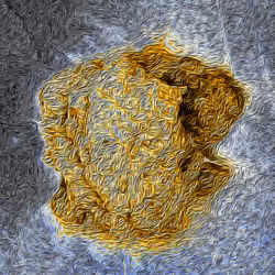 Fluxus Commentarius - Type 1 - #519