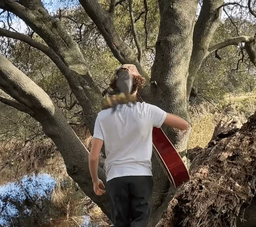 Untitled Collection #22115308