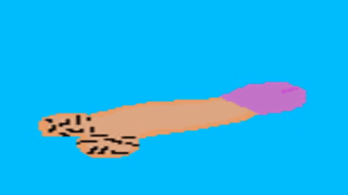 Penis 1/1