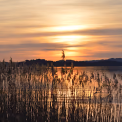 Bavarian Landscape