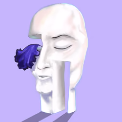 Face