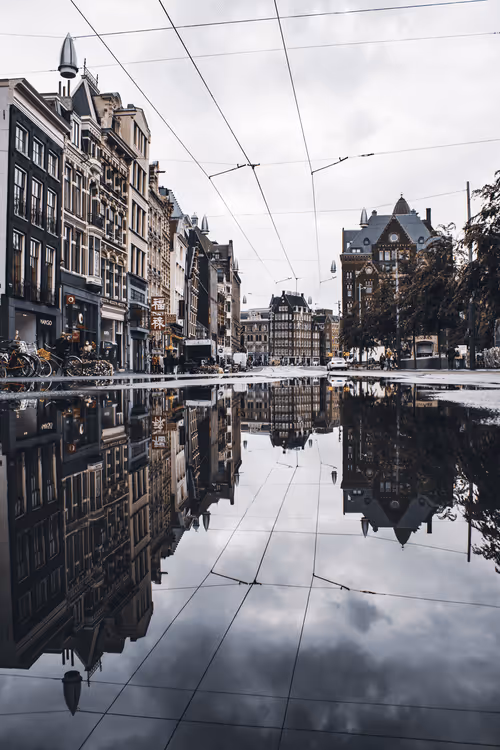 Item #63941686978381941053943929737968123784537789017631438611022902670097108697089 Media