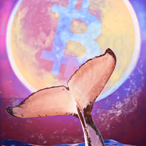 Billionaire NFTs - Edster59 - Bitcoin Whale