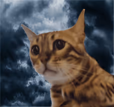 Untitled Collection #170912211