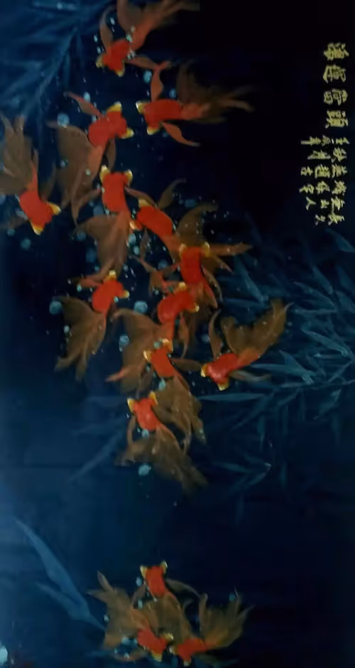 Item #26488852823137241169888274482832590844566579413733946688231820599291298185217 Media