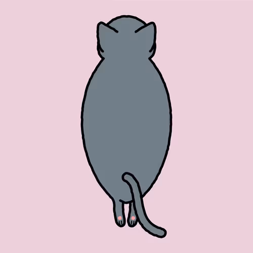 Item #111760635281471976527682699986414739964558939060344581897120873728965146050561 Media