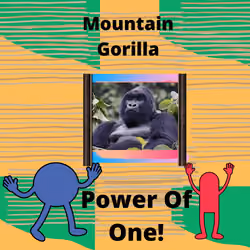 Mountain Gorilla Forever - Protecting Endangered Animals