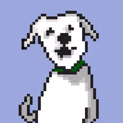 #005 Milka little dog pet