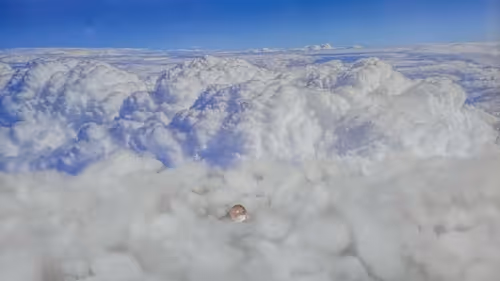 Item #32382354995311206636930955851818118108425029471473268411146207416147662340196 Media