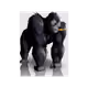 19278936760189342347465832345814591433426095324975447622995248722478565949441